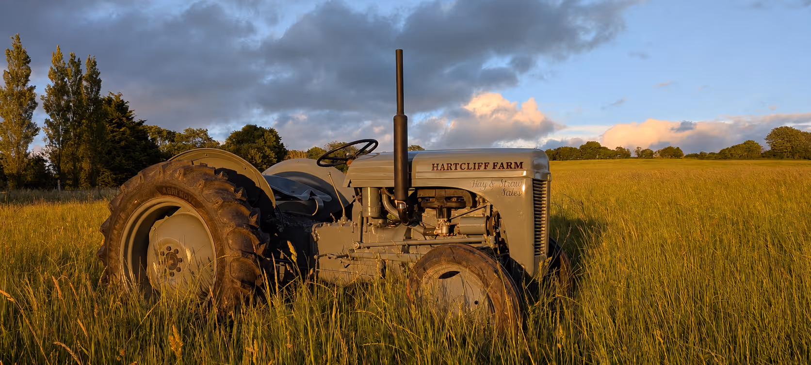 hartcliff farm ferguson ted20