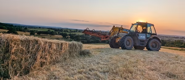 jcb handler at hartcliff v2