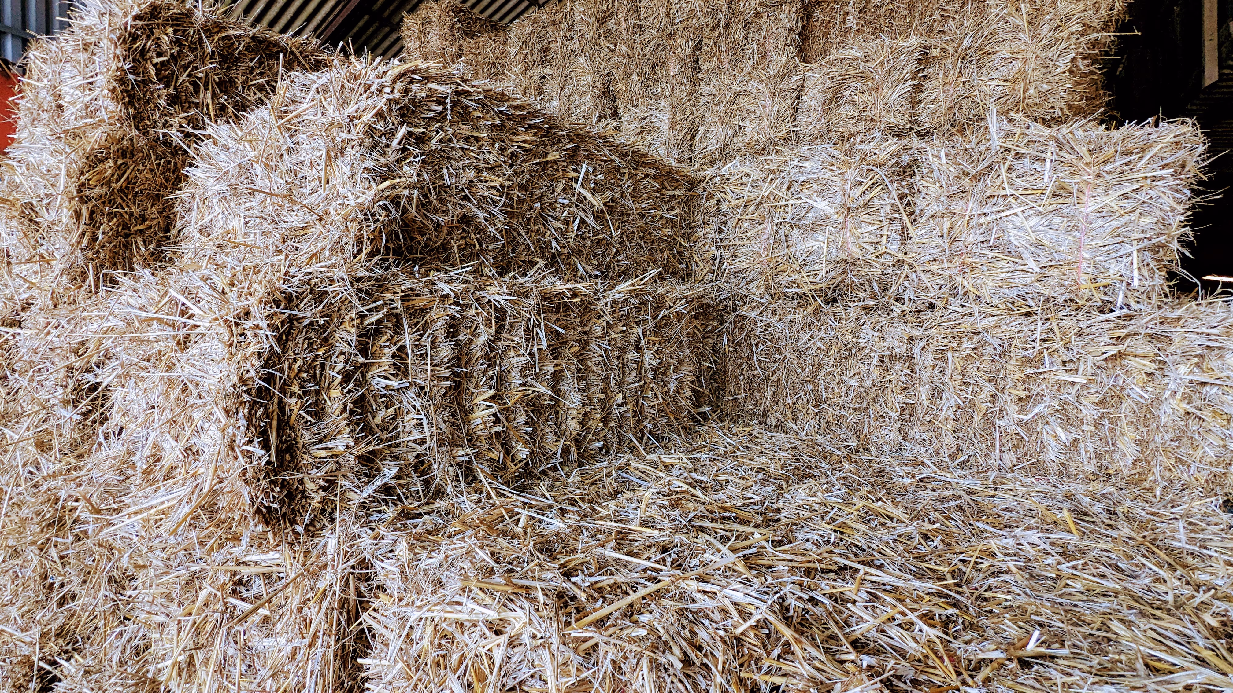 small bale wheat straw v2