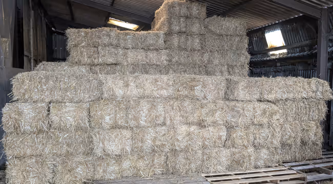 stack of small straw bales